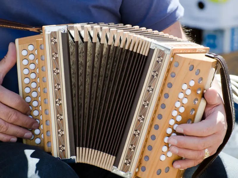 Instrument muzical acordeon